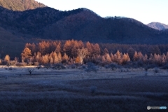 小田代ヶ原の朝