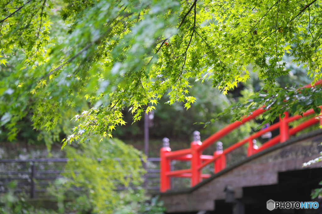 河鹿橋