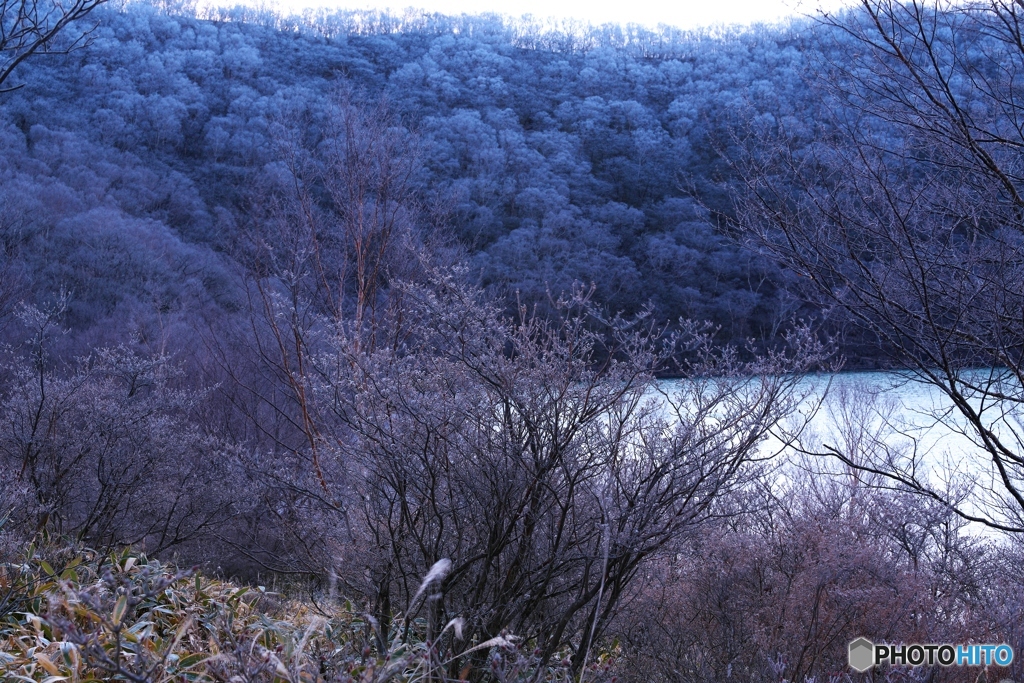 赤城山に舞い降りた霜