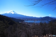 富士山を望む４