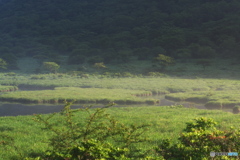 覚満淵の夏