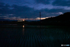 水の田園