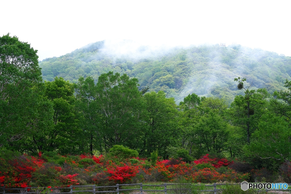 雨上がりの山２