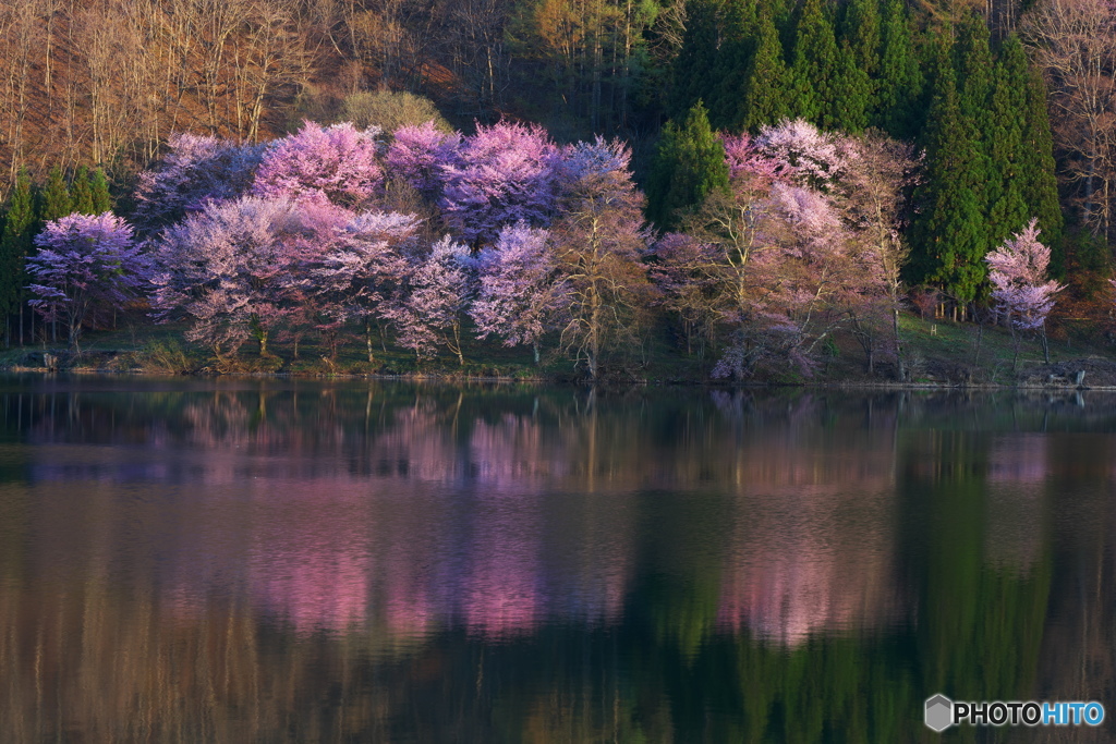 中綱湖の映り込み