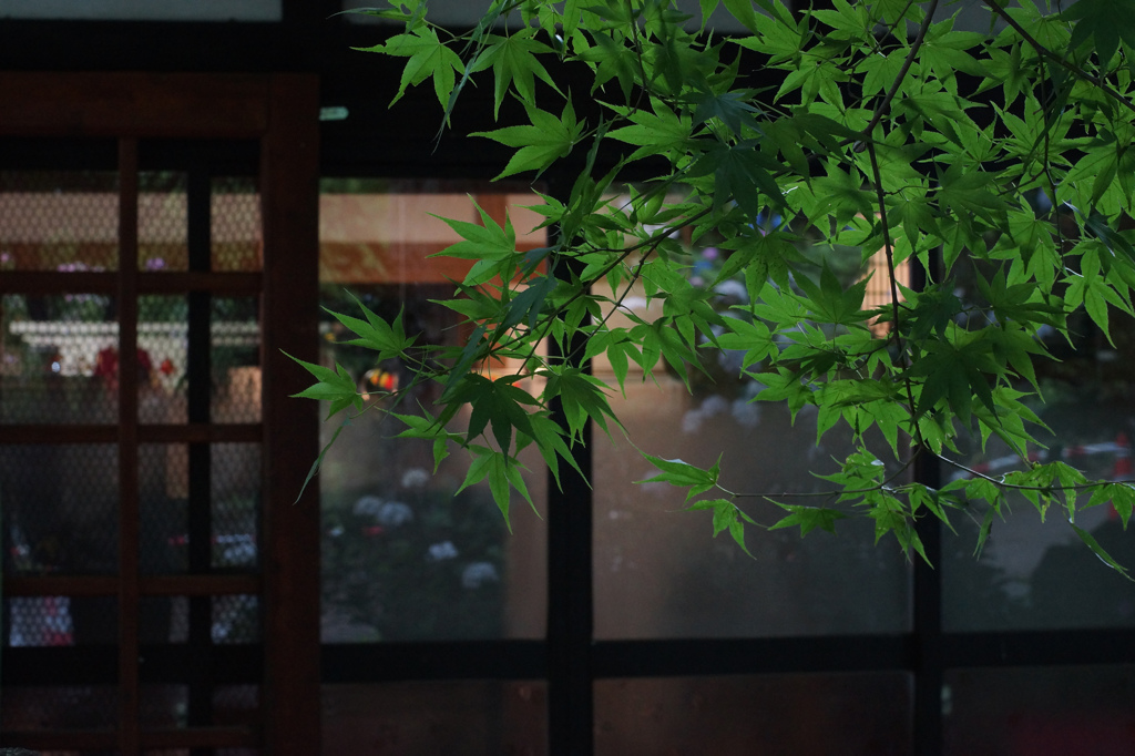 温かい明かり