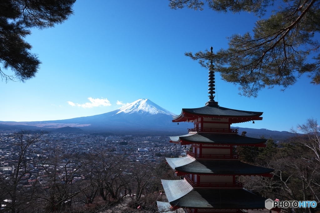 富士山を望む