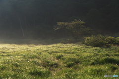 覚満淵の朝