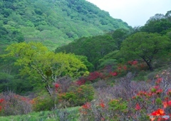 雨上がりの山