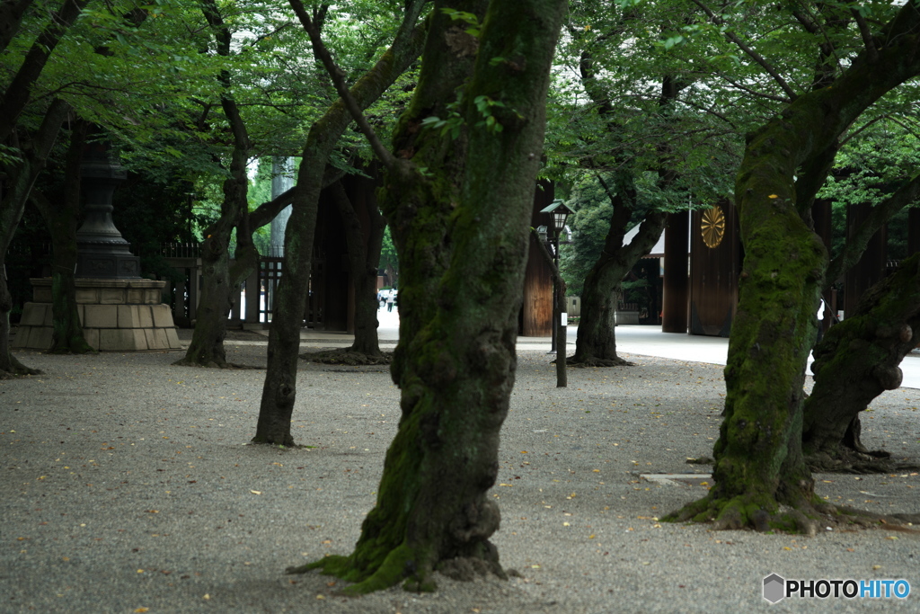 靖国神社
