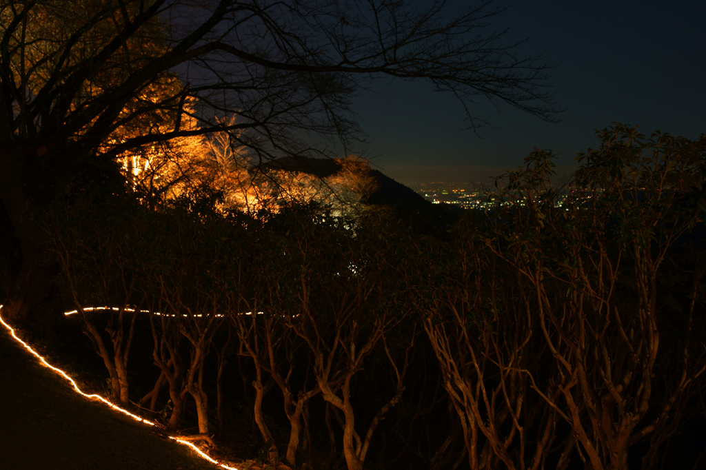 桜山公園からの展望