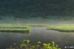 覚満淵の夏