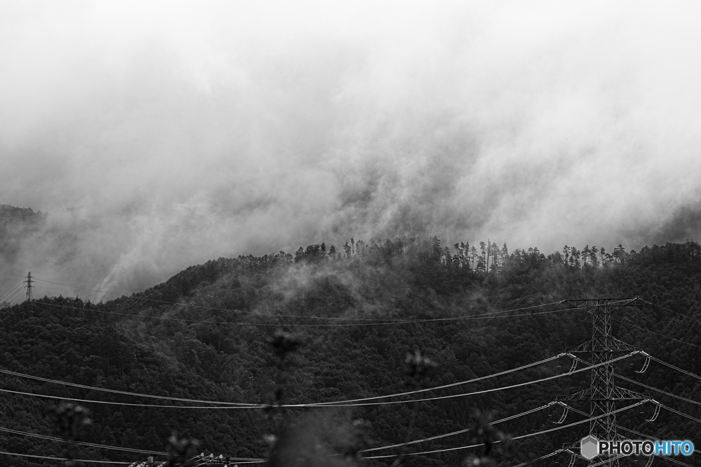 雨後に湧き立つ