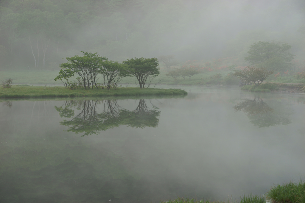 赤城の湿原