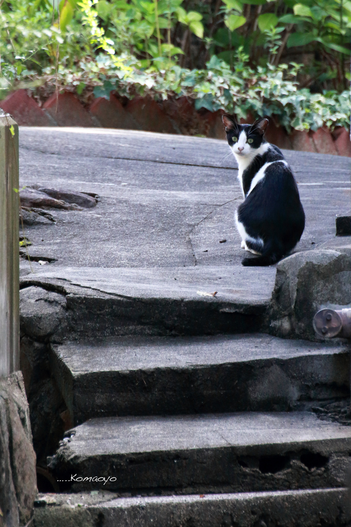 え゛、青森地方で地震・・・