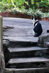 え゛、青森地方で地震・・・