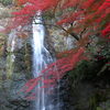 紅葉の箕面大滝
