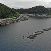 伊根湾牡蠣筏上空から