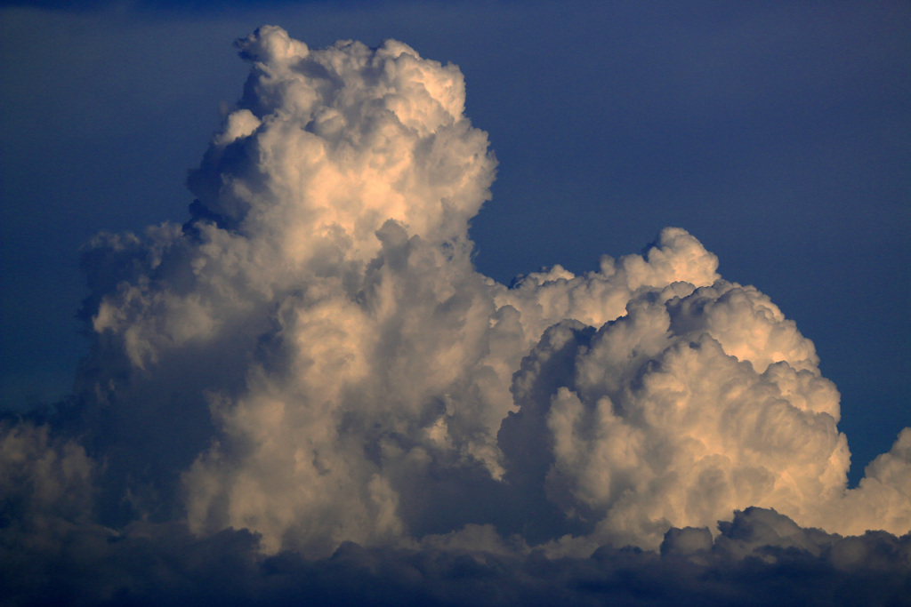 夏雲という積雲