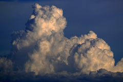 夏雲という積雲