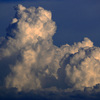 夏雲という積雲