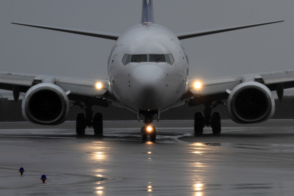 真正面シリーズ