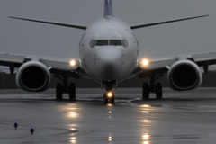 真正面シリーズ