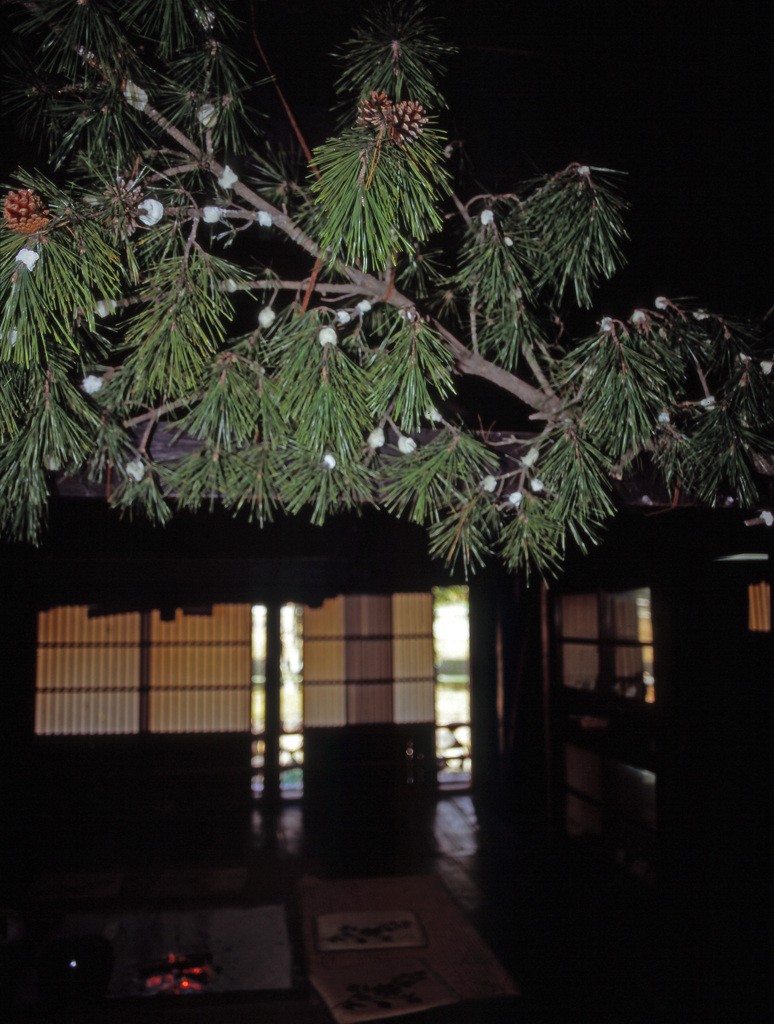 本年もよろしくお願いいたします。