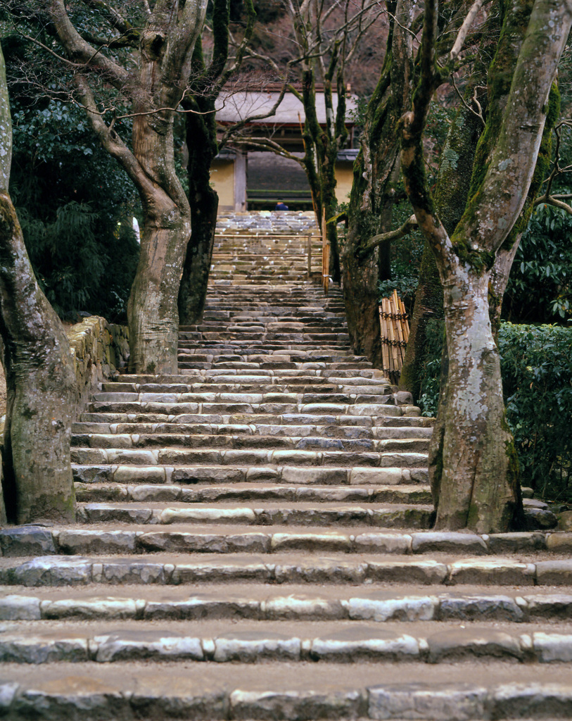 大原寂光院(火災焼失前)