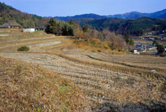 棚田の中程の風景