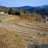 棚田の中程の風景