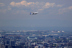 EXPO2025 ANA JET