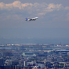 EXPO2025 ANA JET