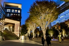 立川イルミネーション