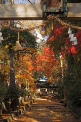 遠くの有名処よりも綺麗