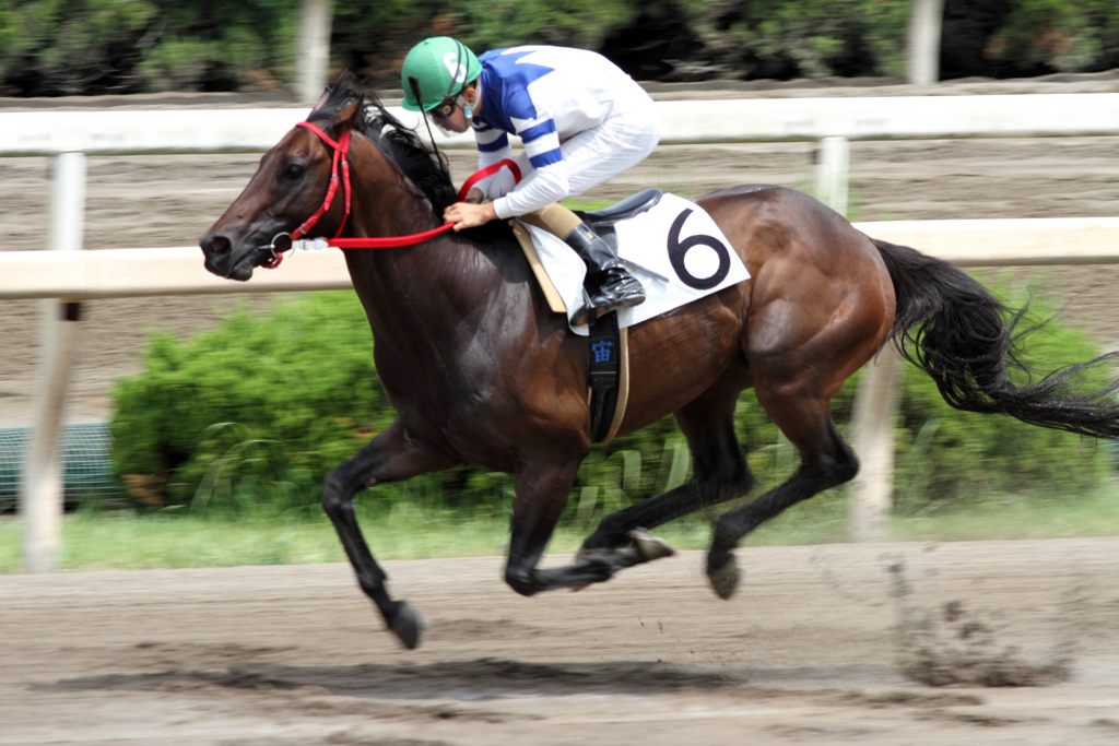 丙午（ひのえ馬）