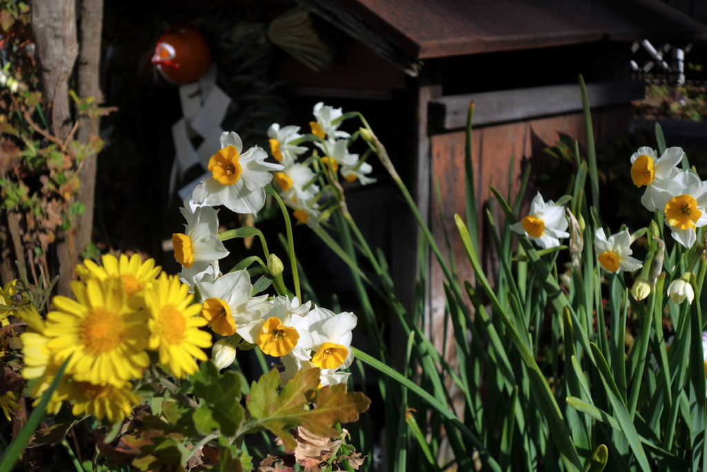小さなお地蔵様の祠の傍