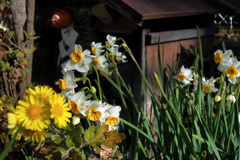 小さなお地蔵様の祠の傍