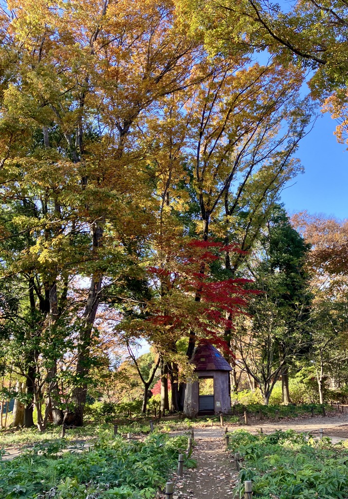メルヘンな小さな家