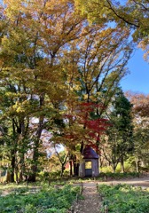 メルヘンな小さな家