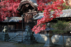 伊居太神社（いけだじんじゃ）