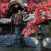 伊居太神社（いけだじんじゃ）