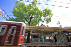 御神木のある駅
