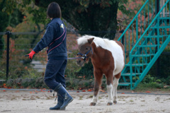 仮開園中五月山動物園