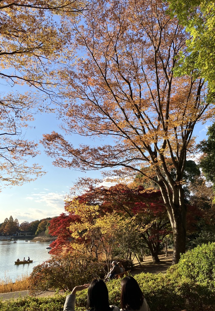 国営昭和記念公園の紅葉