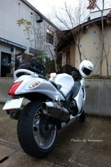 SUZUKI 隼GSX1300R