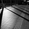 朝日のあたる場所