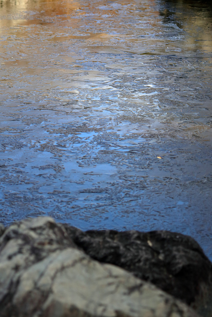 今冬初氷確認