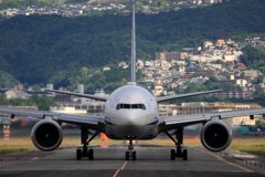 真正面シリーズ