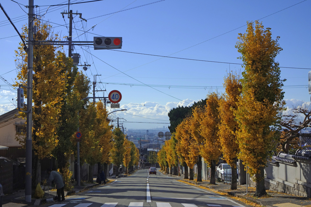 空港が見える交差点から