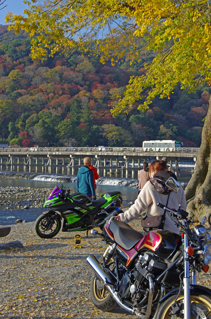 嵐山の風景